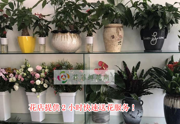 西宁花店提供西宁2小时快速送花服务